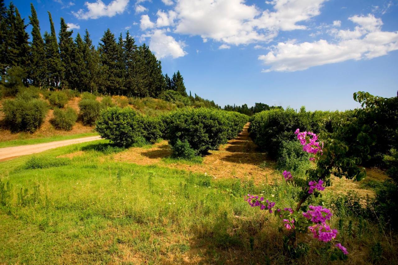 Borgo Valle Rita Vakantieboerderij