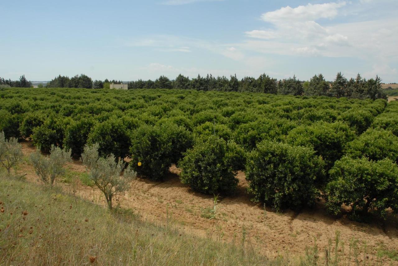 Borgo Valle Rita Farm stay Marina di Ginosa